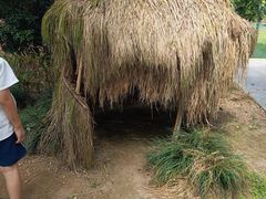 -广垦（茂名）国家热带农业公园