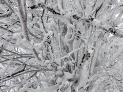 -亚布力新体委滑雪场