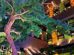 -桂满陇天书(南京德基旗舰店)