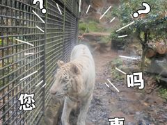 -杭州动物园
