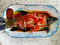 -好孕妈妈月嫂(重庆总店)