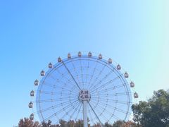-东湖落雁景区