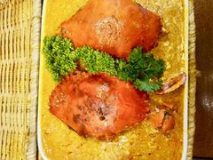 -茉莉.Red Crab
