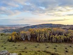 -塞罕坝国家级自然保护区