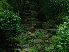 -三千院
