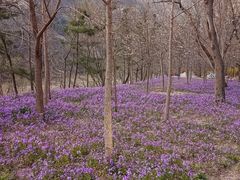 -昆嵛山石门里景区