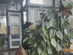 -肴约·花园式餐厅(湖里店)