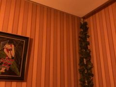 -智慧盲人按摩艾灸-颈肩腰膝疼痛调理(浦东店)