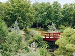 -羊山湖公园