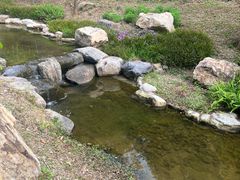-云溪植物园