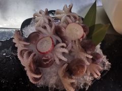 -马家斑.鲜鱼火锅(松湖万科店)
