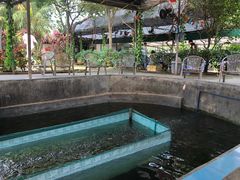 -小象钓虾·营地烧烤(洛溪店)