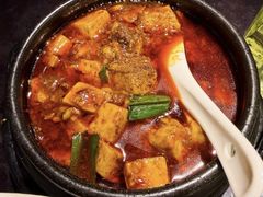 -陈麻婆豆腐总店