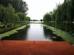 -白洋淀景区
