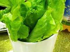 -赵氏老北京涮羊肉羊蝎子(蓝村店)