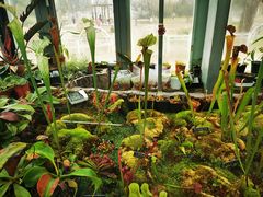 -国家植物园南园