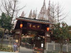 -青城甲(青城山店)