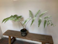 -花迹(富春江东街店)