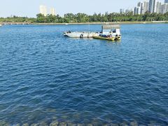 -五缘湾湿地公园