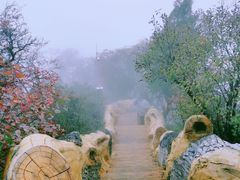 -少华山国家森林公园