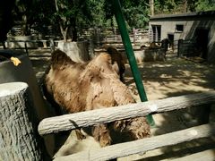 -昆明动物园