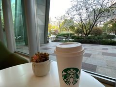 -星巴克(丁香国际商业中心店)