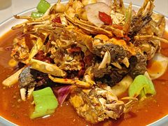 -杨氏青龙虾·羊蝎子(金盛路总店)