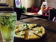 -百好乐宠物友好餐厅(朝外大街店)