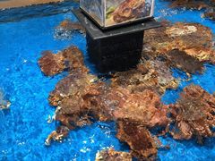 -盒马鲜生(领丰汇店)