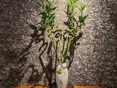 -禅一·静观堂(长寿路店)