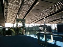 -西沃古尔·拉姆古兰爵士国际机场