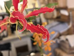 -Radar Coffee(思南路店)
