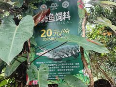 -海南热带野生动植物园