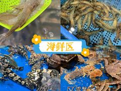 -盒马鲜生(红莲店)