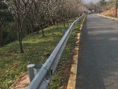 -宝界山林公园