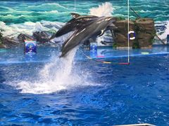 -多彩贵州城极地海洋世界