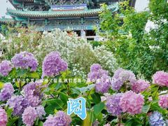 -阅江楼风景区
