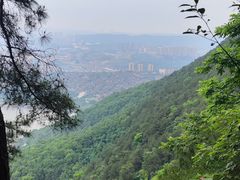 -铁山坪森林公园