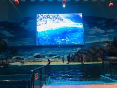 -福州罗源湾海洋世界旅游区