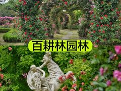-老鼎万春卤菜(五代传承创始老店)