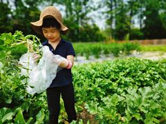 -前小桔亲子创意农场·草莓采摘·露营烧烤