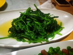 清炒豌豆尖-渝信川菜 · 川味家常菜(财富购物中心店)