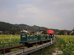 -红山村