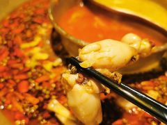 -哥老官重庆美蛙鱼头(龙湖杭州金沙天街店)