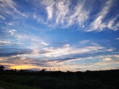 -北京市海淀外国语实验学校