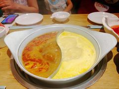 -青瓷火锅料理(西单大悦城店)