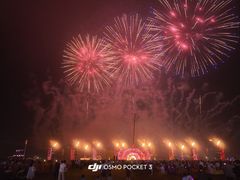 -泰达航母主题公园