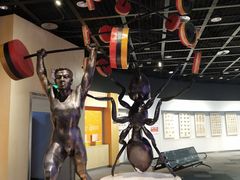 -陕西自然博物馆