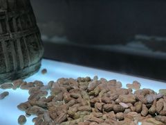 -景德镇中国陶瓷博物馆