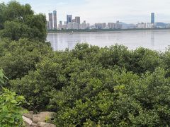 -深圳湾公园(南山区)